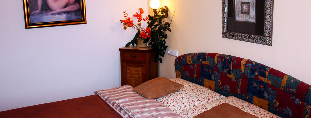 Wellness Pension Ametyst Cesky Krumlov Ngoại thất bức ảnh